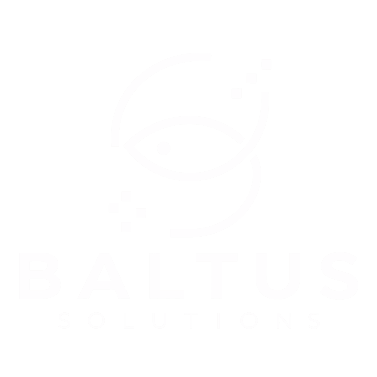 Baltus Solutions